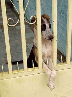 kohalikud on kõik ülimalt sõbralikud