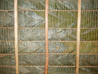 must lagi on meie toal