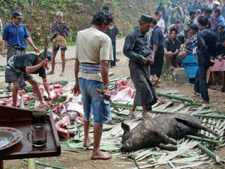 Sulawesi, Rantepao, Toraja matustel