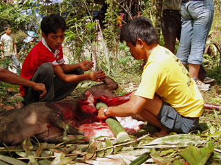 veri pandi bambustorudesse, siis lihatükid … ja siis lõkke kohale hauduma