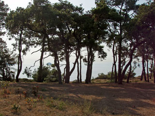 Burgazadası avastusretkel