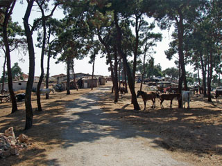 Heybeliada avastusretkel