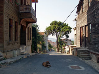 Heybeliada avastusretkel