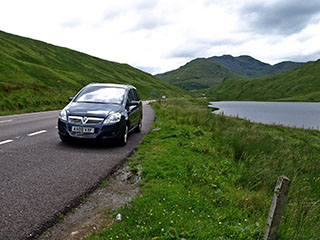 meie uus neljajalgne sõber