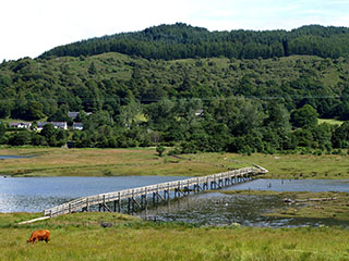 lammastel on oma sild