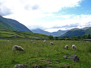 Glen Nevis