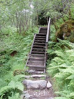 rattaraja kohustuslikud elemendid