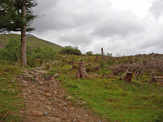 tavaline Šoti rattarada