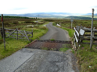 cattle grid