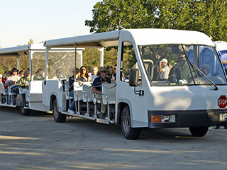 kuulus Everglades Tram