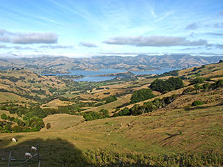 lammas all, vasakus nurgas