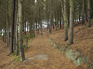 ... mis muidugi meid ei seganud seda kasutada