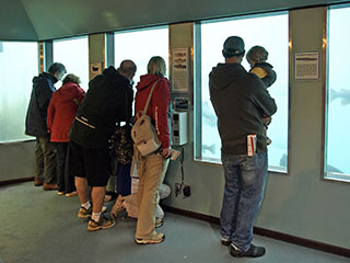 Queenstown Underwater Observatory