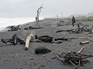 Hokitika Beach