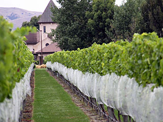 uus päev algab uue veinimõisaga ...