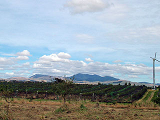 see tuulik on maapinna soojendamiseks