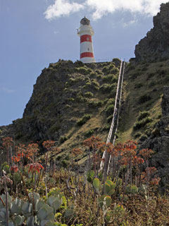 Cape Palliser Lighthouse