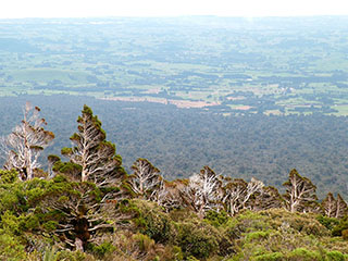 allapoole jõudes on loodus hoopis teistsugune