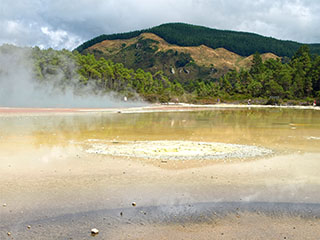 Champagne Pool