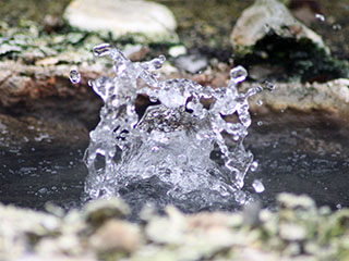 Waimangu Volcanic Valley