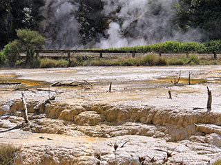 Waimangu Volcanic Valley