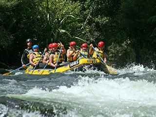 Rangitaiki River Rafting