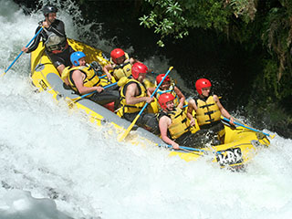Rangitaiki River Rafting