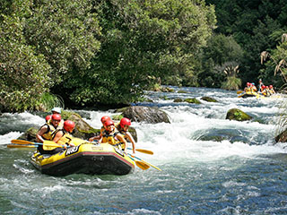 Rangitaiki River Rafting
