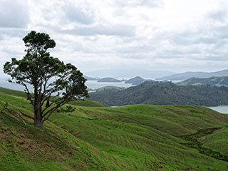 Coromandel, vaade Manaia lahele
