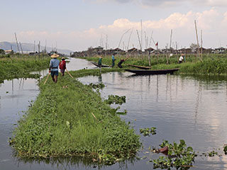 Inle järve kuulsad ujuvad põllud …