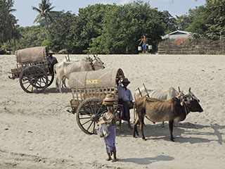 sadamas on taksod ootamas …
