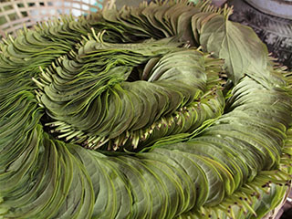 Mani Sithu Market, beetlilehed