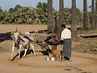 kusagil teel Kyaukpadaung poole