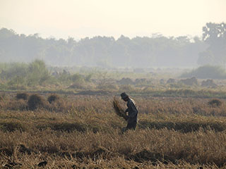 hotelli taga käib viljakoristus