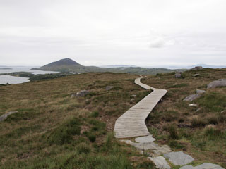 teel Diamond Hill poole