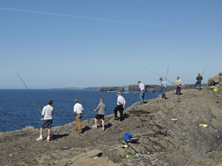 kalamehed, Cliffs of Kilkee, Clare