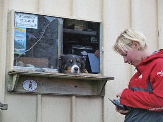 Beehive Huts, piletimüüja