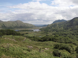 Ladies View, Derrycunihy