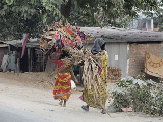 Pal Para, teel Darjeelingisse