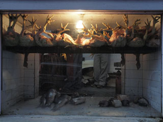 vaade restorani köögipoolele …