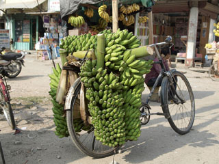 Kakarbhitta, jalgratas on pooleldi juba pakitud
