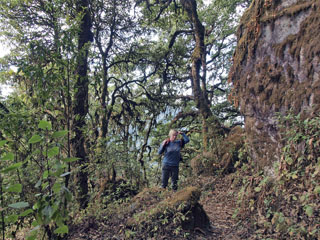 Shivapuri National Park, 2 466 m, eesmärgiks Shivapuri, 2 725 m