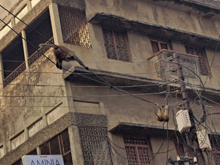 ahvidel on omad teed …