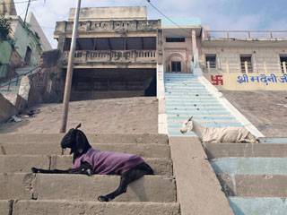 selle aasta moevärvid …