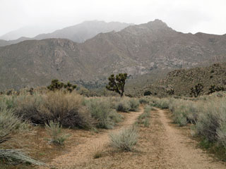 teisel pool mäge ...