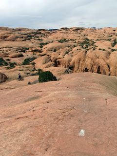 Slickrock Trail, Moab