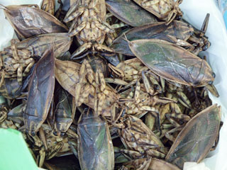 Wararot Market, isuäratavad hõrgutised …