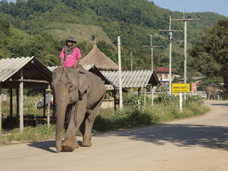 Huey Num Rin ... elevandiküla