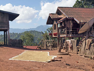 Nam Ha Akha Village, riis kuivamas