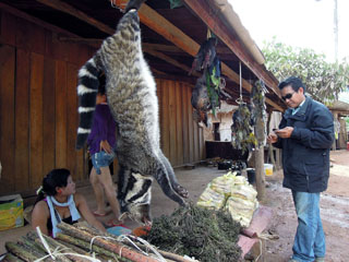 meie bussijuht endale hõrgutisi valimas